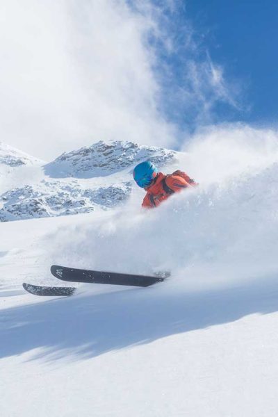 Everything You’ve Wanted to Know About Paris