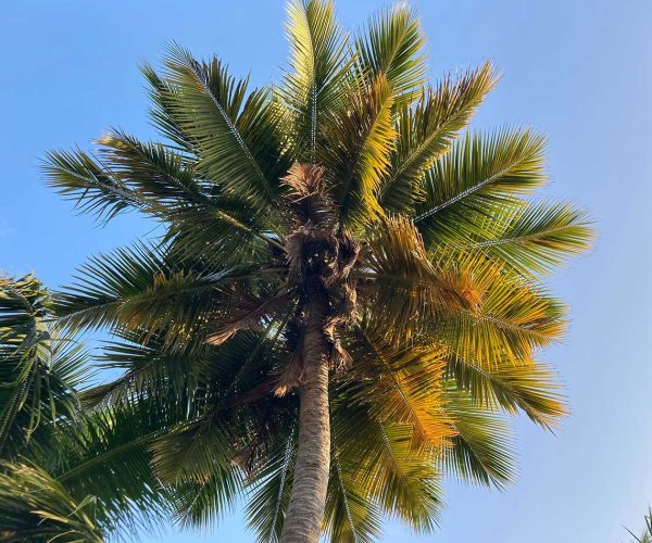 Reasons Why You Should Visit Egypt Often